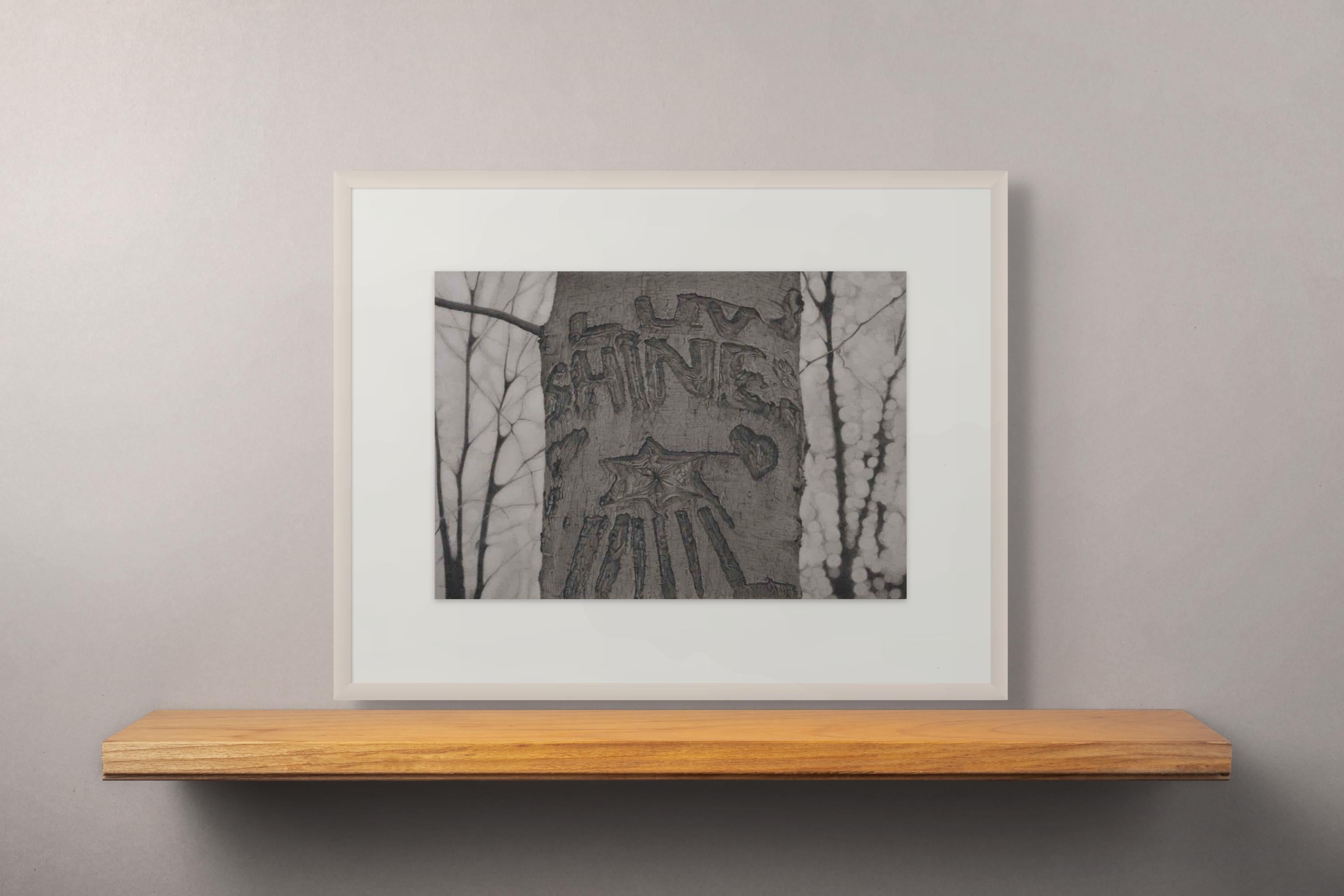 Luv Shines 2, disegno di paesaggio fotorealista in grafite, 2023 - Landscape Art Grigio di Mary Reilly