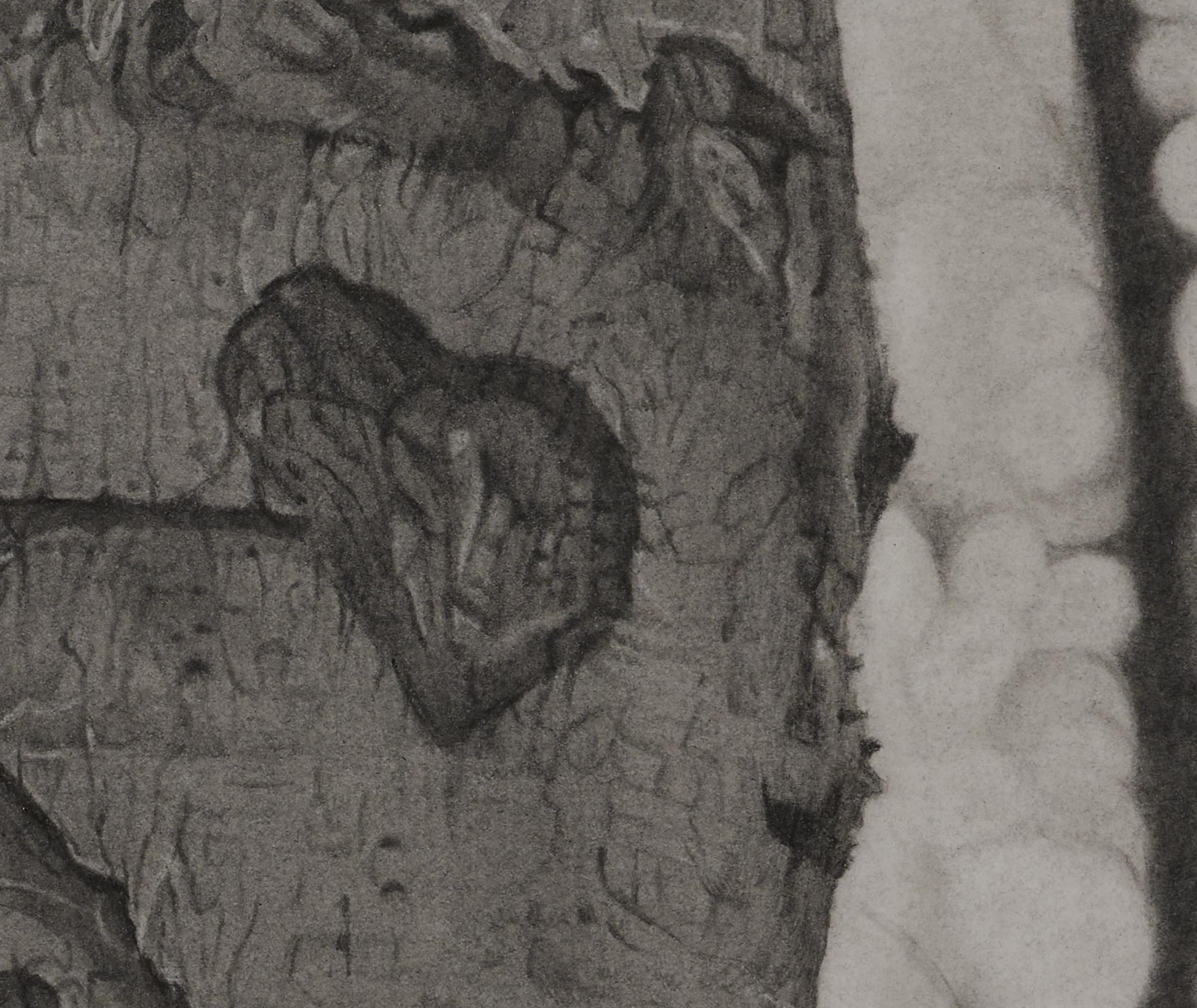 Luv Shines 2, disegno di paesaggio fotorealista in grafite, 2023 in vendita 2