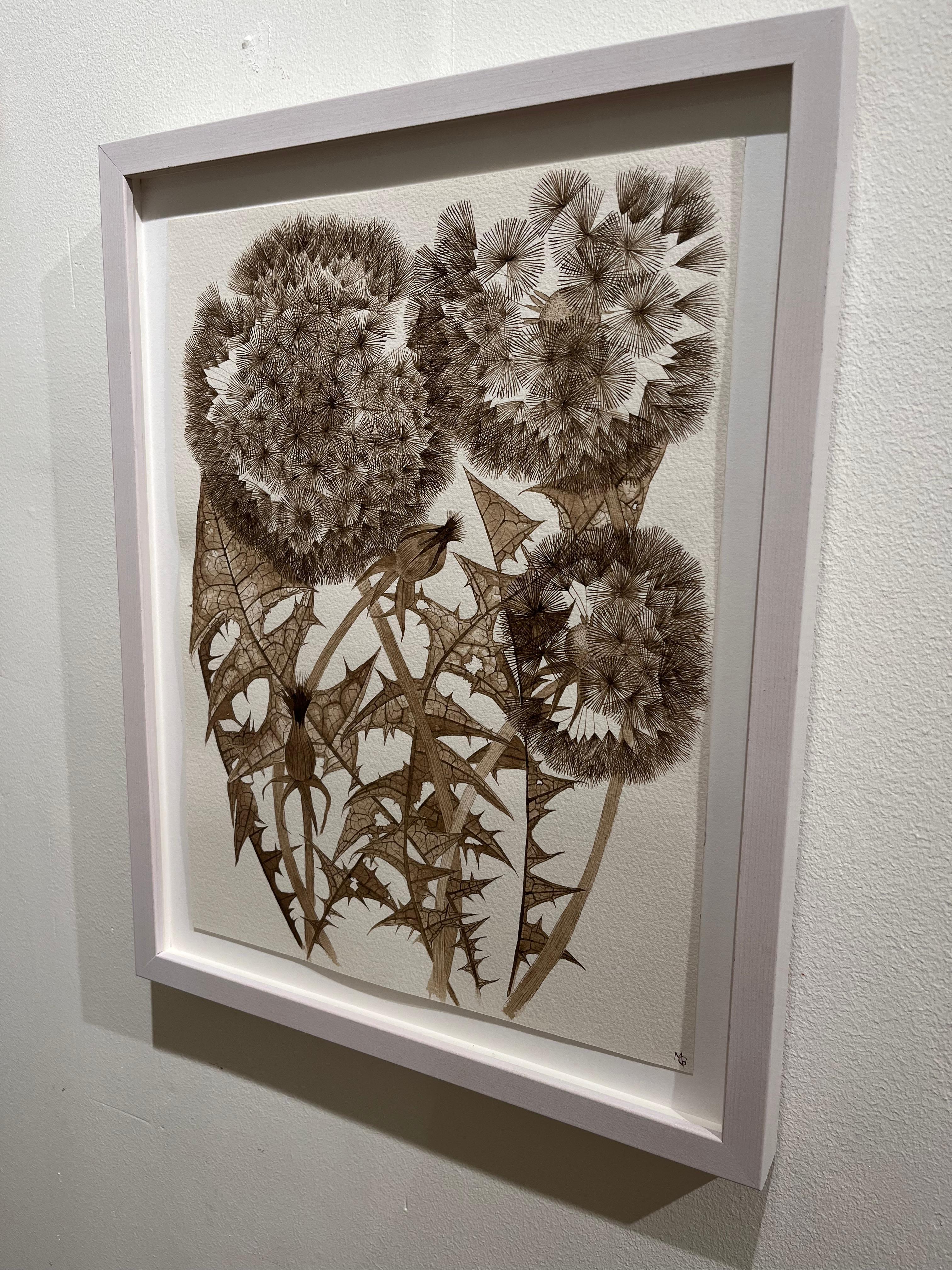 Margot Glass’s rendering of detail demands close attention. Her play with positive and negative space—the almost imperceptible shade of translucence between leaf veins, or the rich puff of a seed head—draws her viewer into a close embrace. Space and