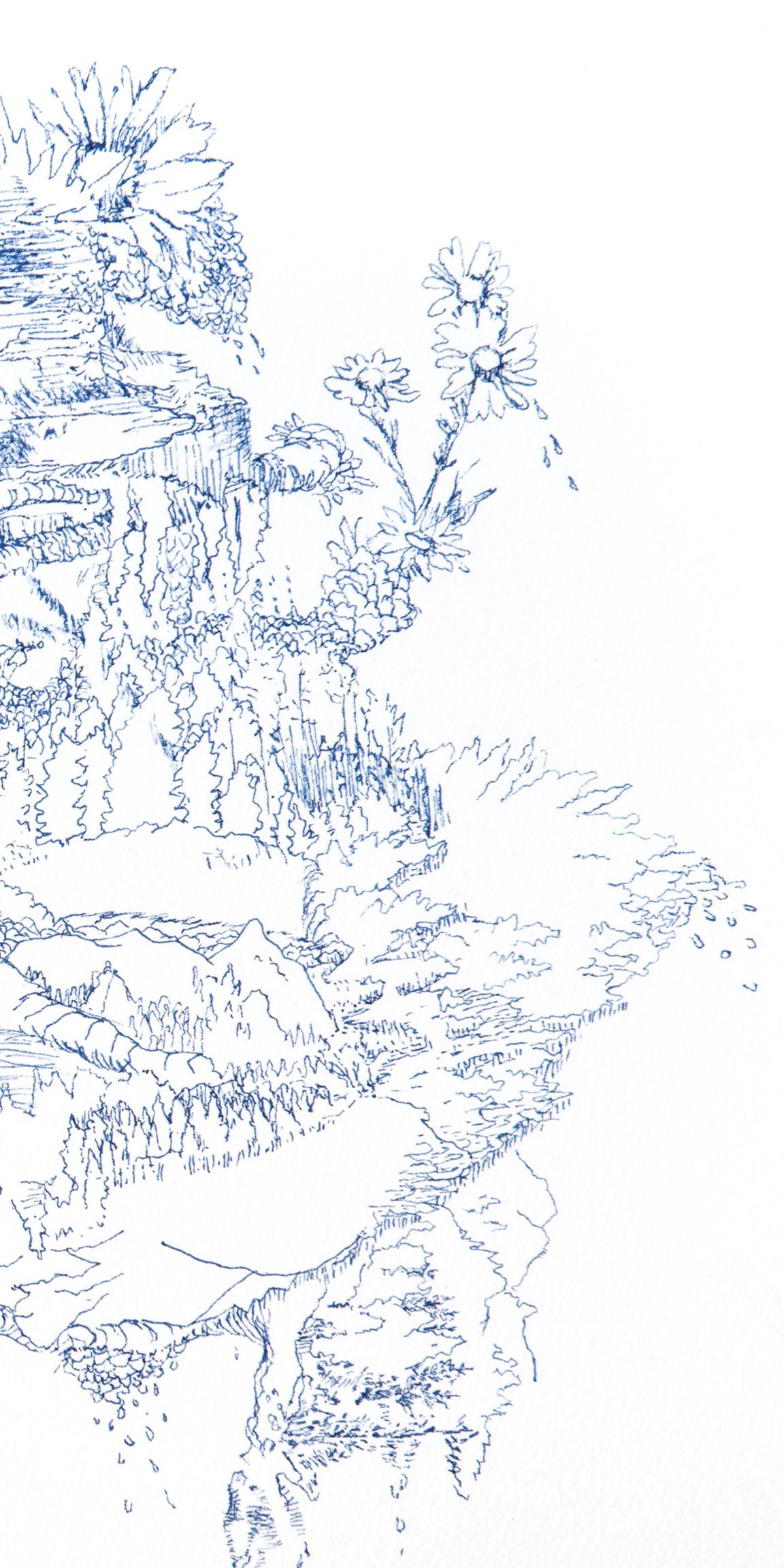 Kathleen Beausoleil, Rejuvinate, 2013, blue ink on paper, landscape drawing For Sale 1