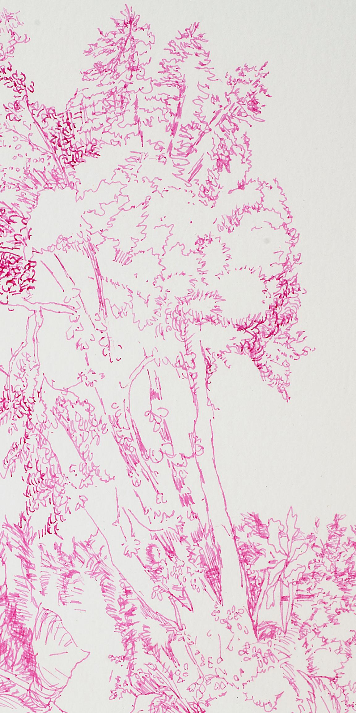 Kathleen Beausoleil, Transverse 2023, pink ink on paper, landscape drawing For Sale 1