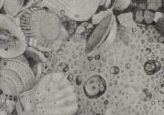 Seashells 6, Strandstreifen-Muscheln aus Sanibel Island, Graphit auf Papier