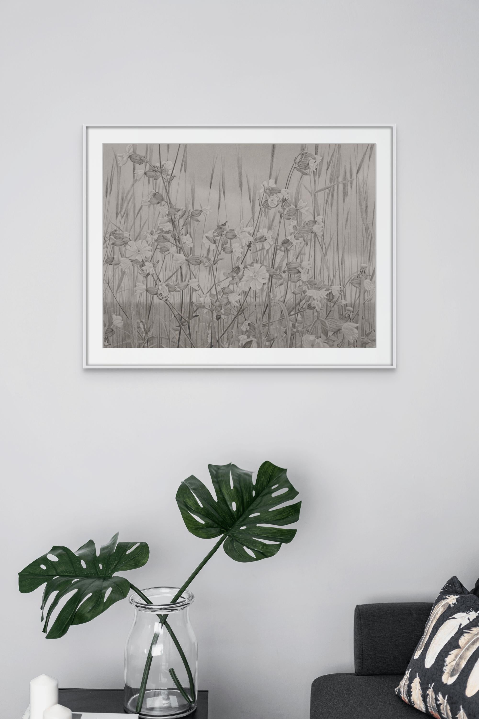 Wildflowers and Sky, Vermont Landscape Black & White Graphite Drawing For Sale 2