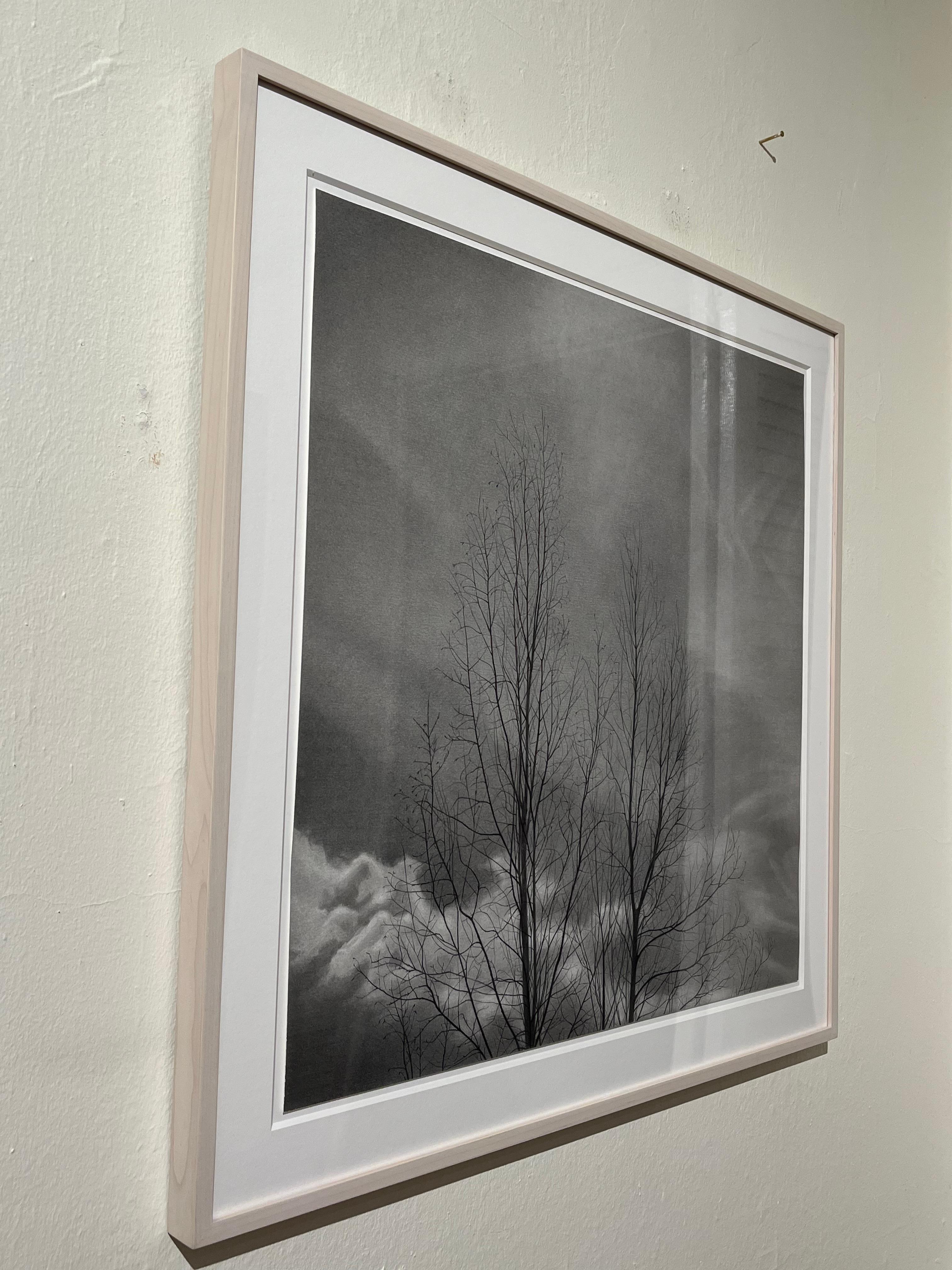 Bare Trees 2, 2024, black-and-white graphite drawing of trees For Sale 1