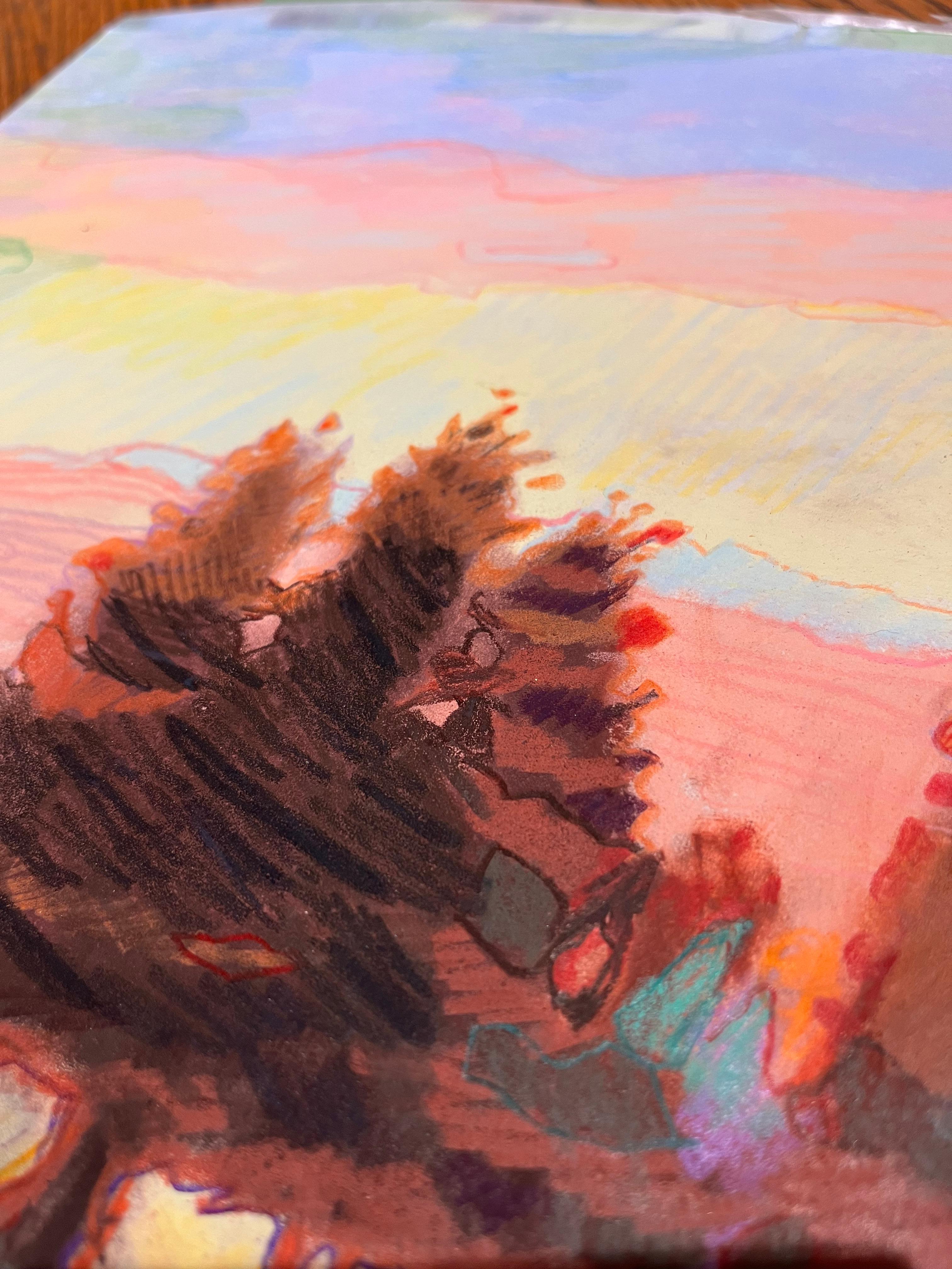 Mindoor, abstract landscape drawing w/ colored pencil and pastel - Impressionist Art by Sandy Litchfield