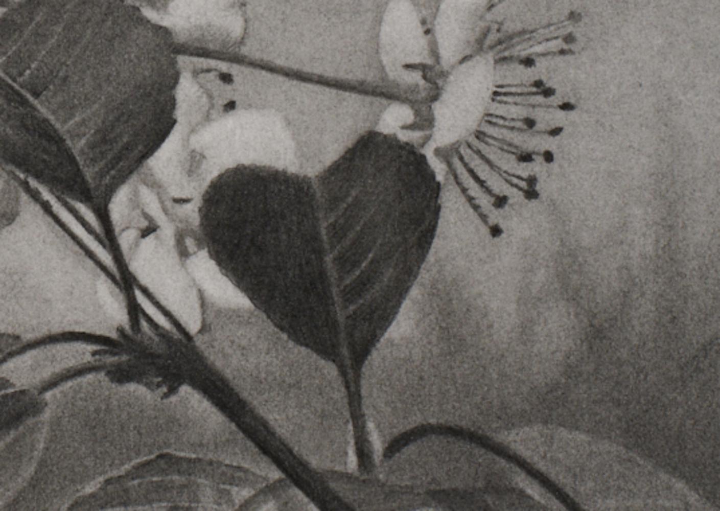 Cherry Blossoms 2, black-and-white tree drawing, graphite pencil on paper For Sale 2