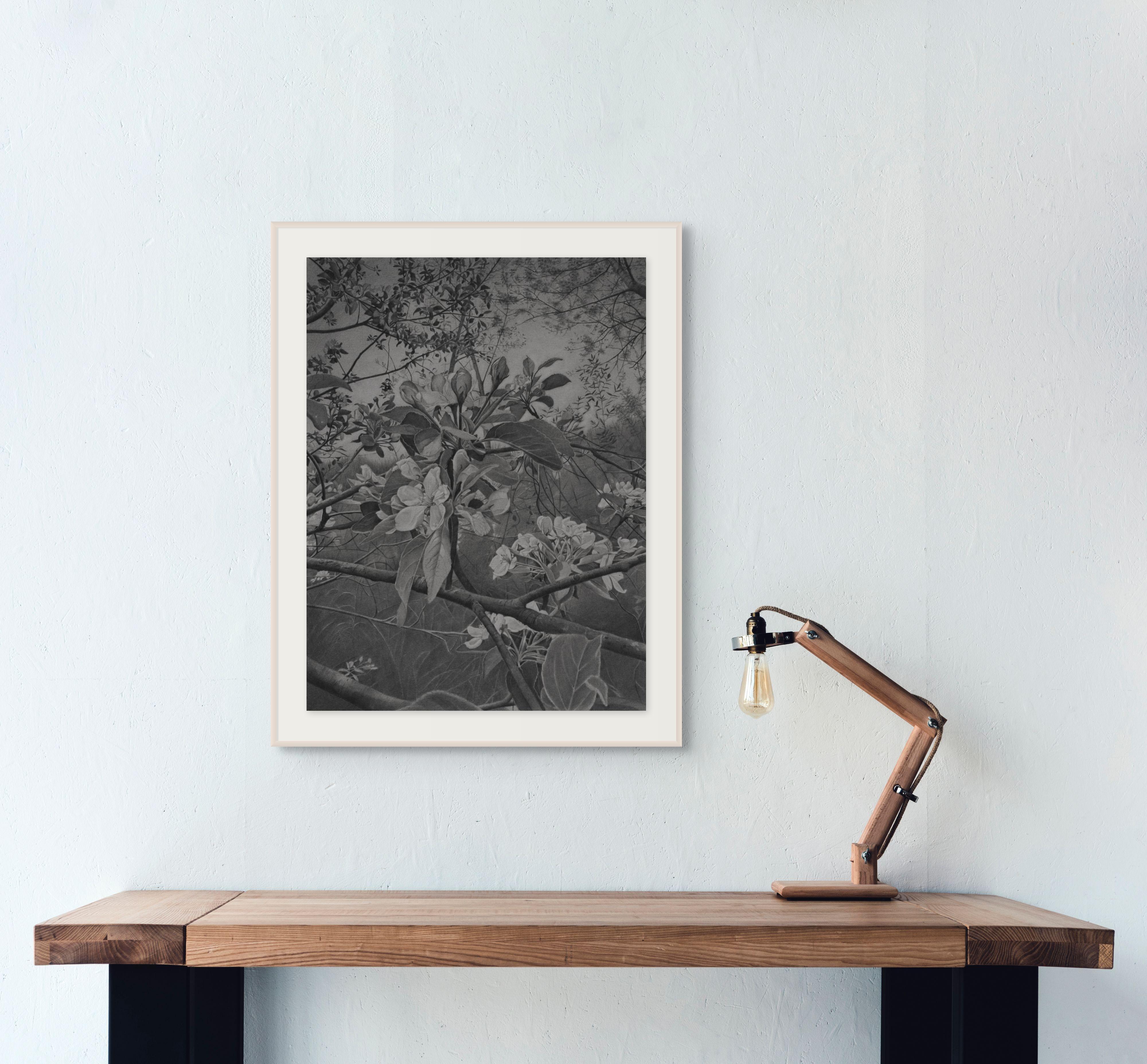 Cerezos en flor 4, Dibujo en gris, blanco y negro de cerezos en flor en una rama - Art de Mary Reilly
