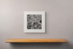 Kirschblüten 3, Eine realistische Schwarz-Weiß-Zeichnung von Blumen auf einem Branch