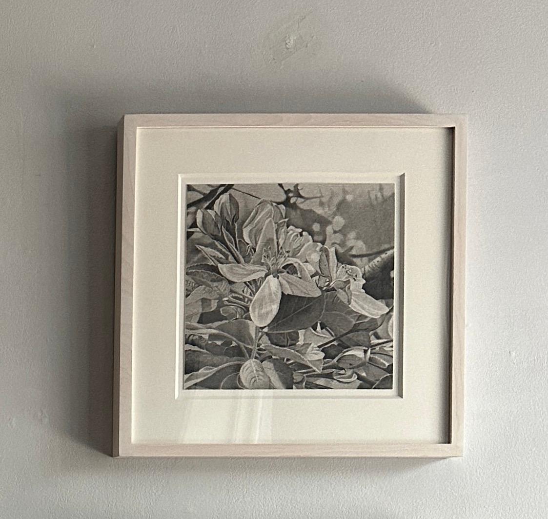 Cerezos en flor 3, Dibujo realista en blanco y negro de flores en una rama - Art Realista de Mary Reilly