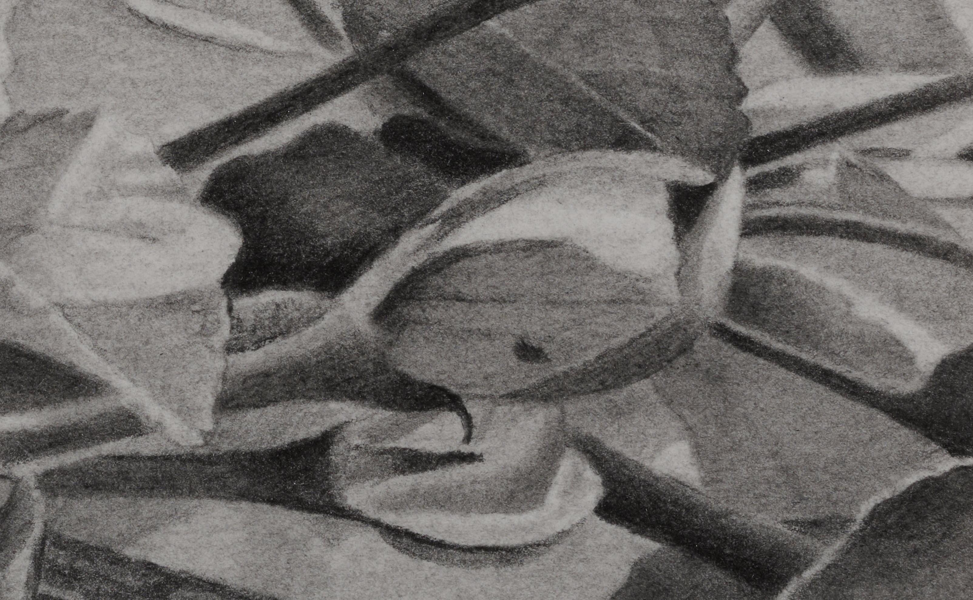 Cerezos en flor 3, Dibujo realista en blanco y negro de flores en una rama - Landscape Art Gris de Mary Reilly