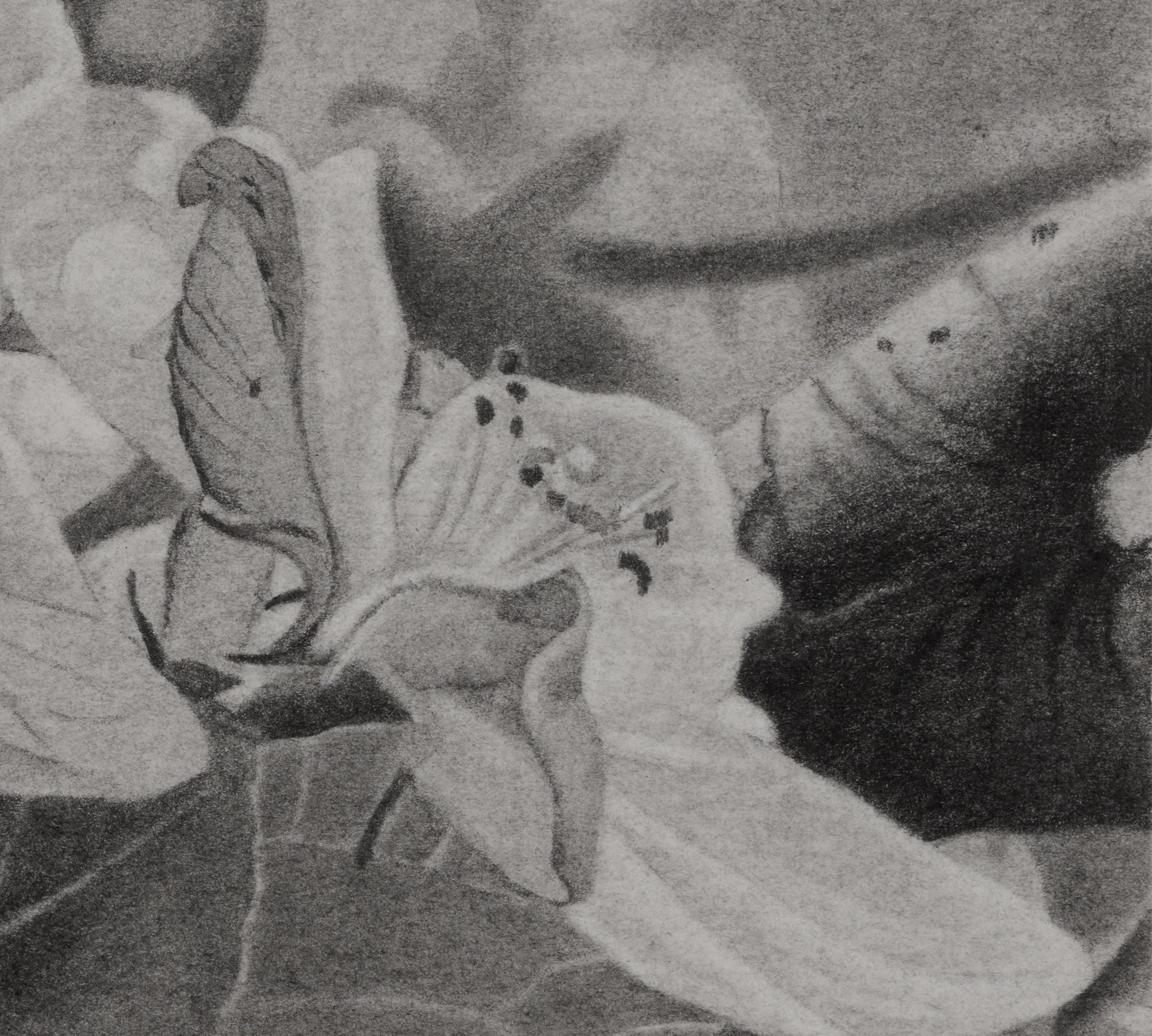 Cerezos en flor 3, Dibujo realista en blanco y negro de flores en una rama en venta 3