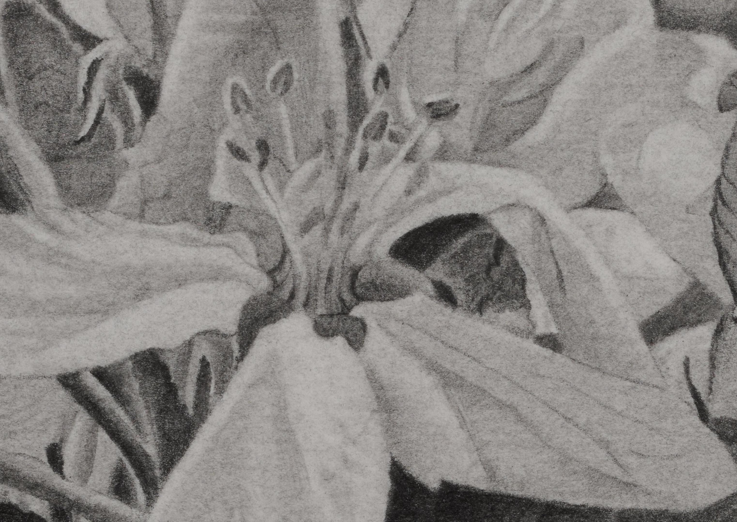 Cerezos en flor 3, Dibujo realista en blanco y negro de flores en una rama en venta 1