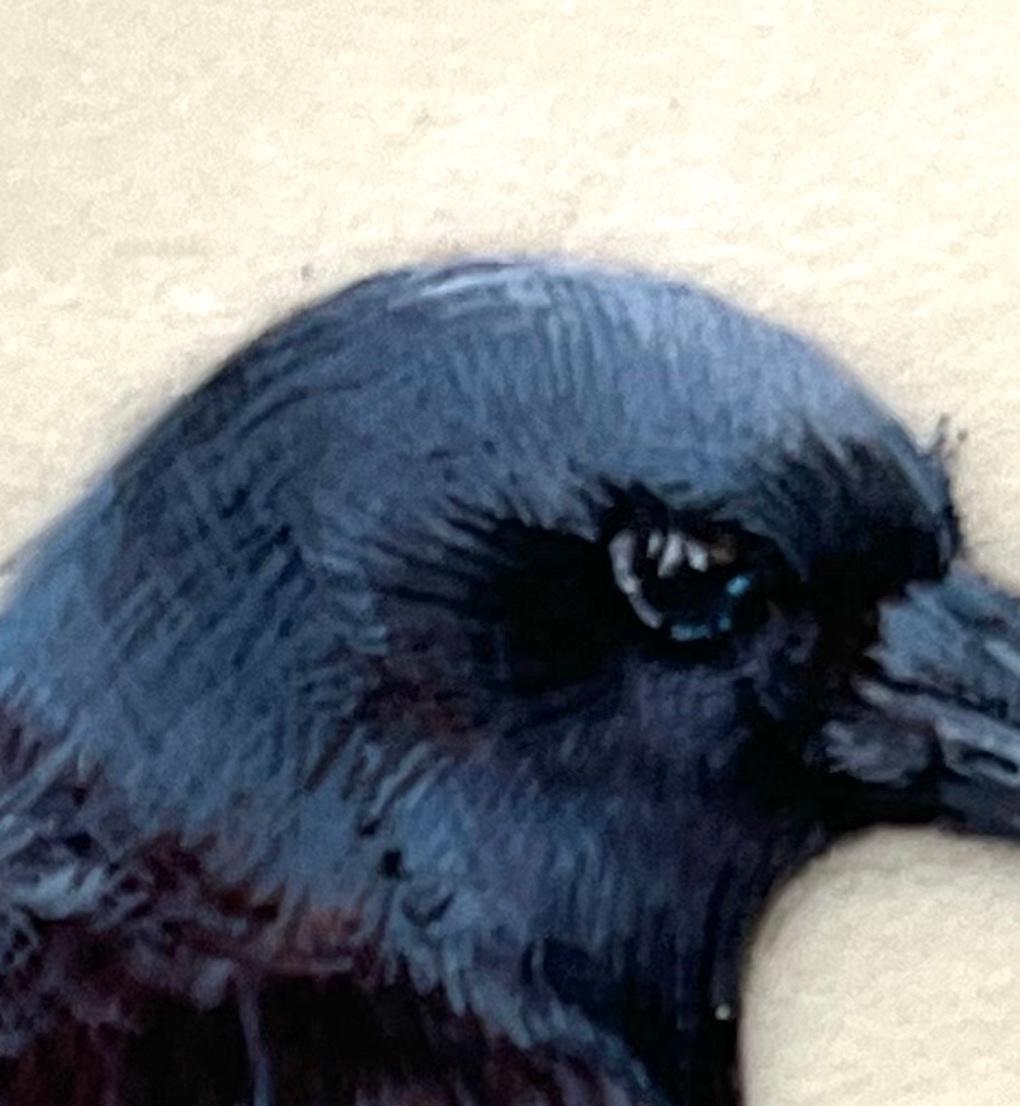 Rabe, Contemporary Miniature Realist Painting eines schwarzen Vogels mit blauen Tönen – Art von Dina Brodsky