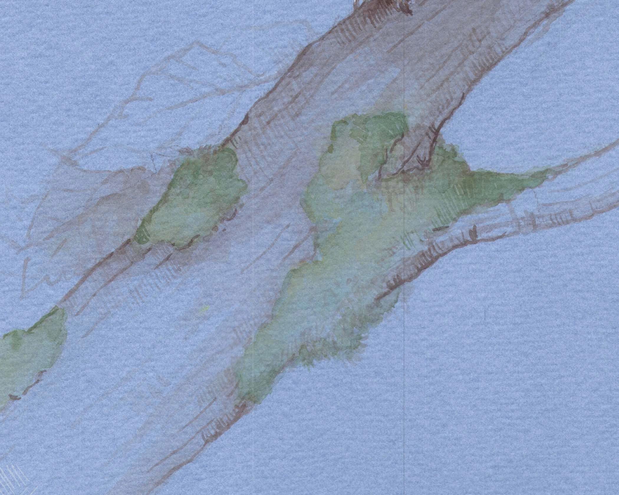 Three Young Owls, Birds Perched on a Branch With a Soft Pale Blue Paper - Art by Dina Brodsky