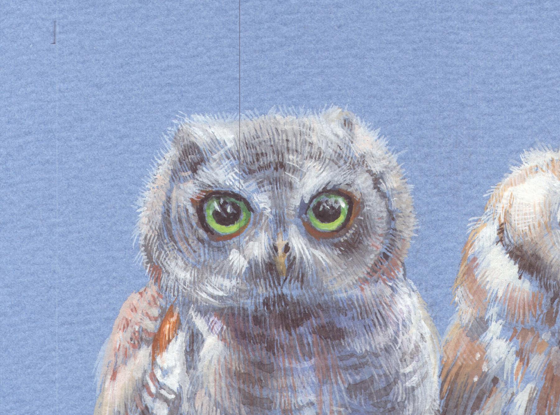 Three Young Owls, Birds Perched on a Branch With a Soft Pale Blue Paper - American Realist Art by Dina Brodsky
