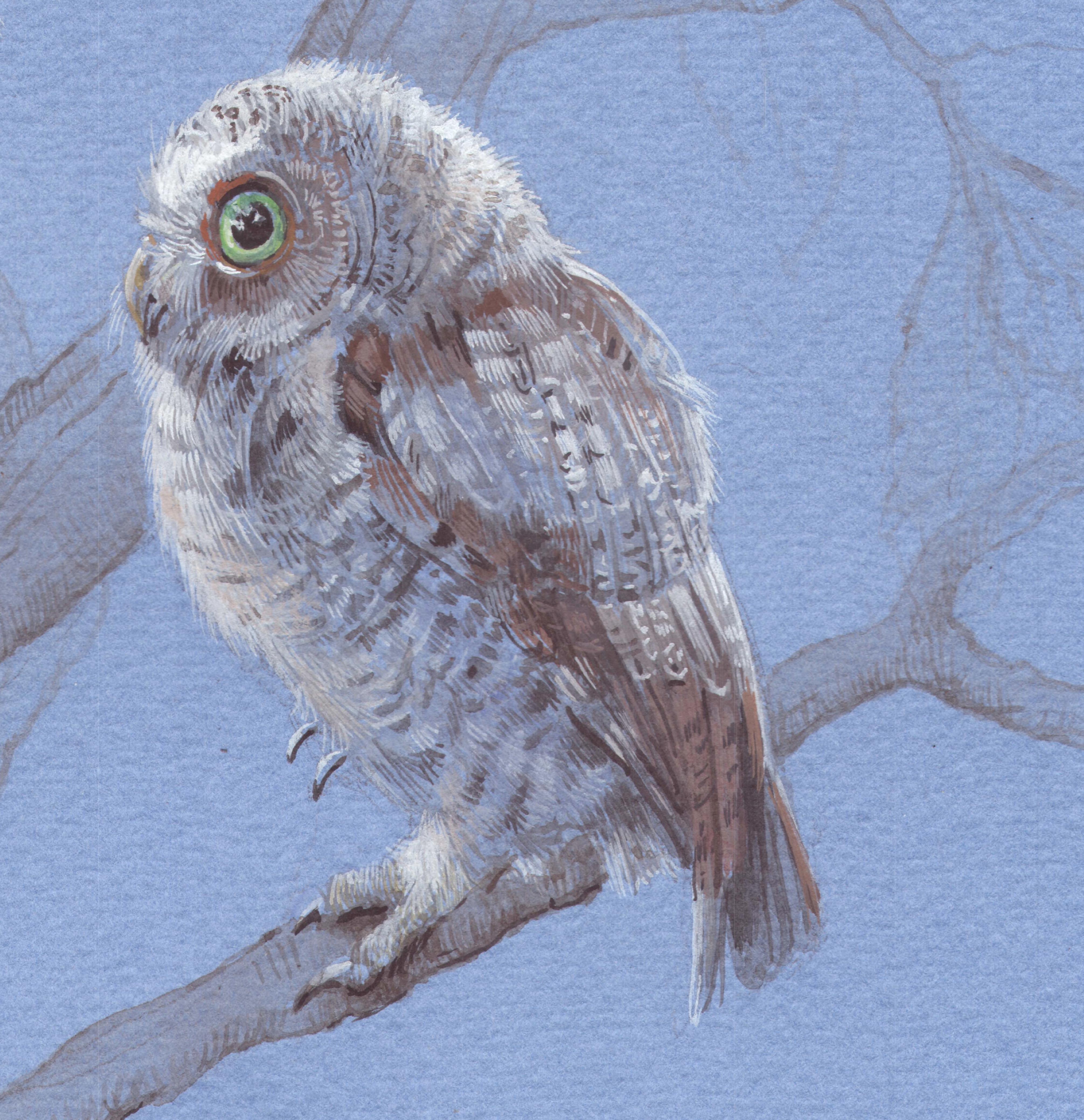 Dina Brodsky’s Three Young Owls is a tender, intimate portrayal rendered in gouache and pencil on paper. Known for her miniature works, Brodsky here expands her scale—this 12 x 12 inch composition is notably large within her oeuvre. Perched