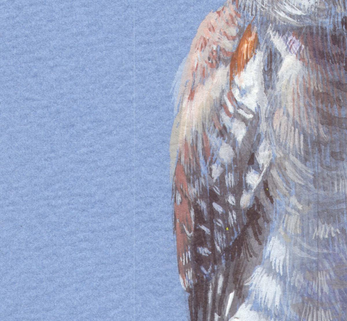 Three Young Owls, Birds Perched on a Branch With a Soft Pale Blue Paper For Sale 1