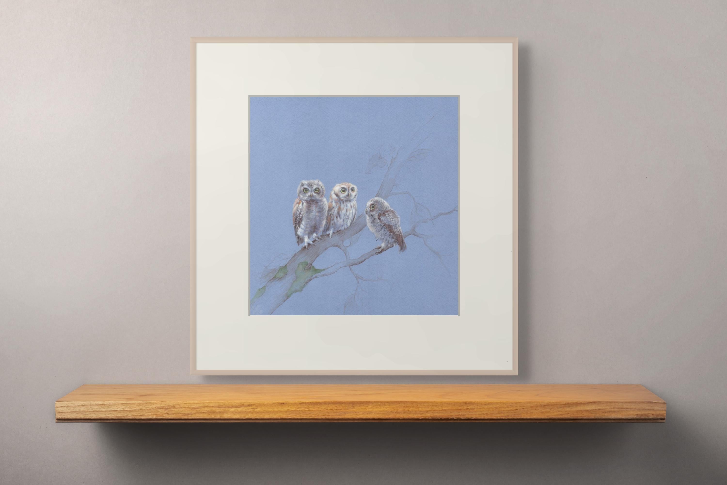 Three Young Owls, Birds Perched on a Branch With a Soft Pale Blue Paper For Sale 2