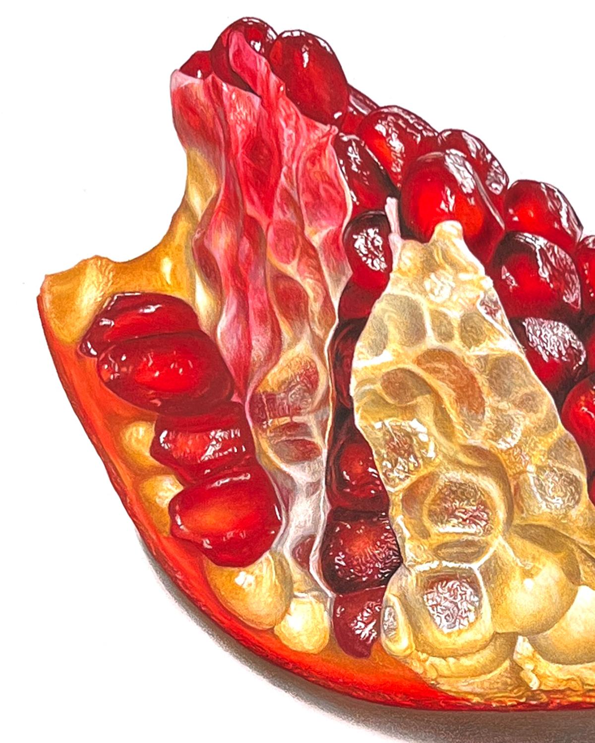 This striking colored pencil drawing by David Morrison showcases his unrivaled mastery of the medium. Rendered with extraordinary precision, this larger-than-life section of pomegranate blurs the line between realism and abstraction. Morrison’s