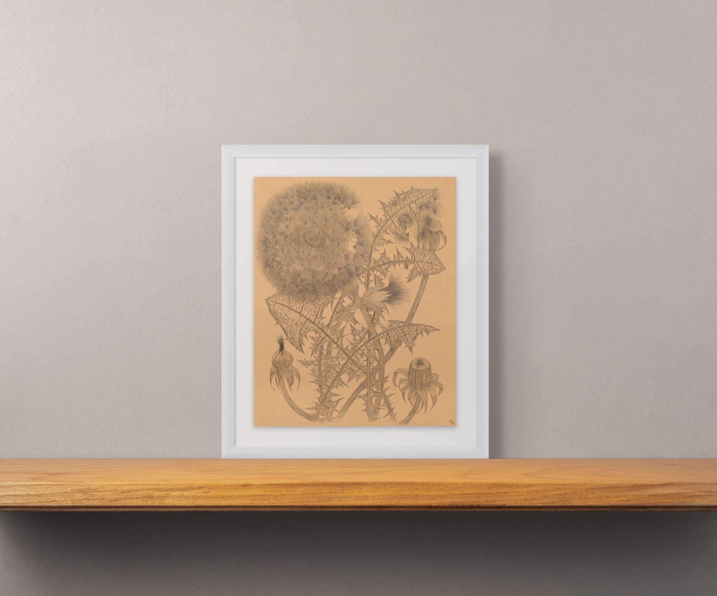 Zwei Pusteblumen, zarte, intime Silberstift-Zeichnung einer Flora auf getöntem Papier – Art von Margot Glass