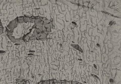 2000 Toke, photorealist graphite graffiti drawing, 2014