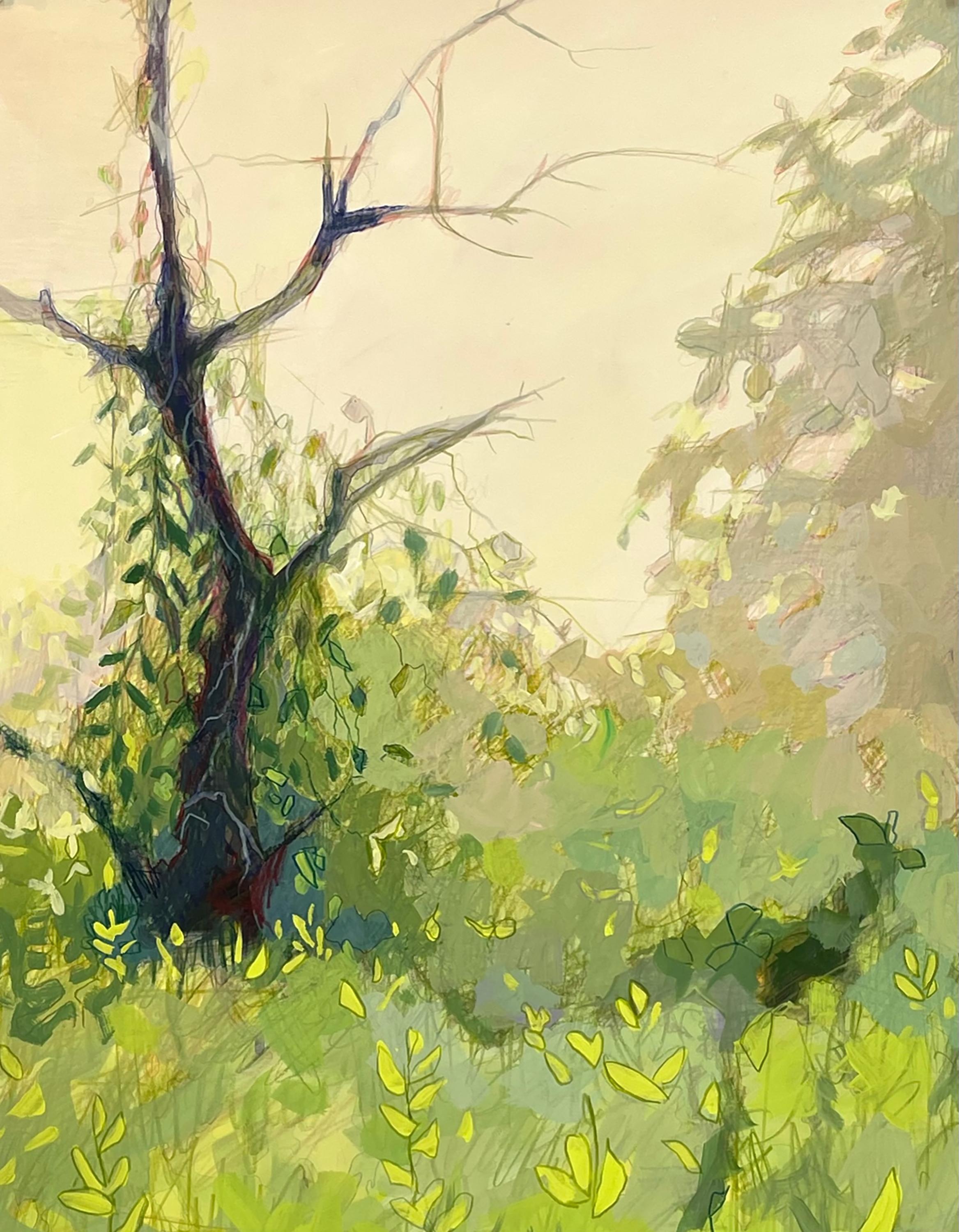 Sandy Litchfield Landscape Art - Dead Apple Tree, Vines 
Milkweed, 20x15 in. Contemporary Lush Landscape Drawing