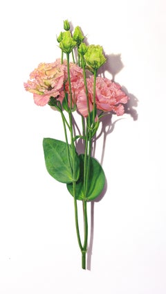 Dibujo de tallo nº 2 - Dibujo de flor botánica hiperrealista, 29 x 15 pulg.