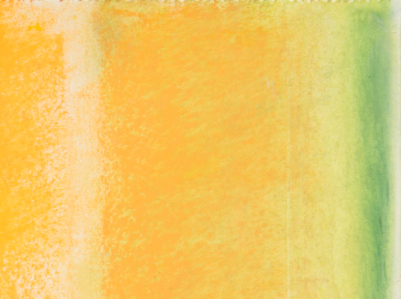 Daisy Craddock, Cantaloupe Study (Skin), Abstract oil pastel, 2017 2