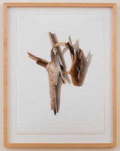 Sycamore Series 6, photorealist colored pencil drawing of wood branch, 2003