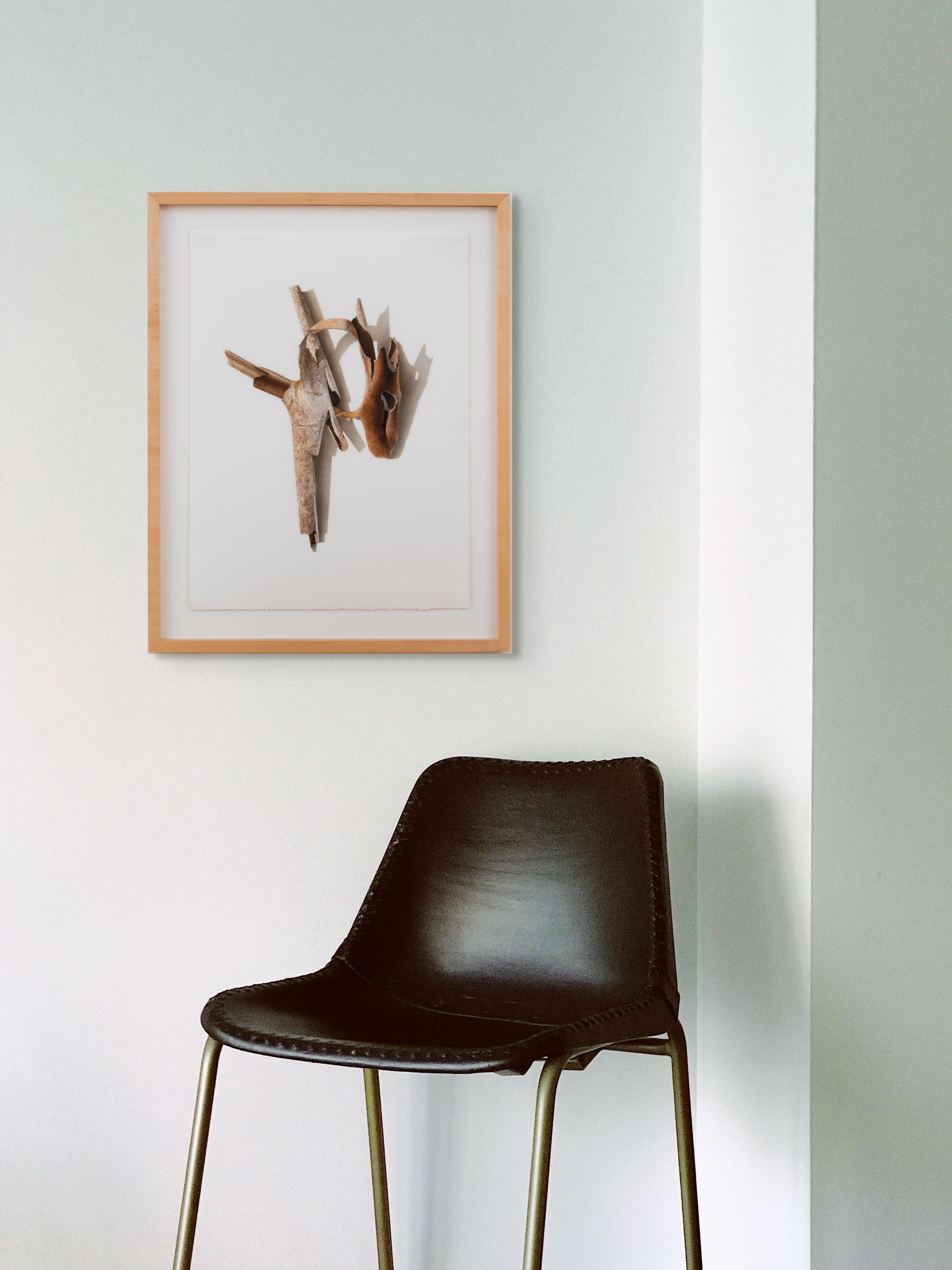 Sycamore Series 6, fotorealistische Farbstiftzeichnung eines Astes, 2003 im Angebot 5