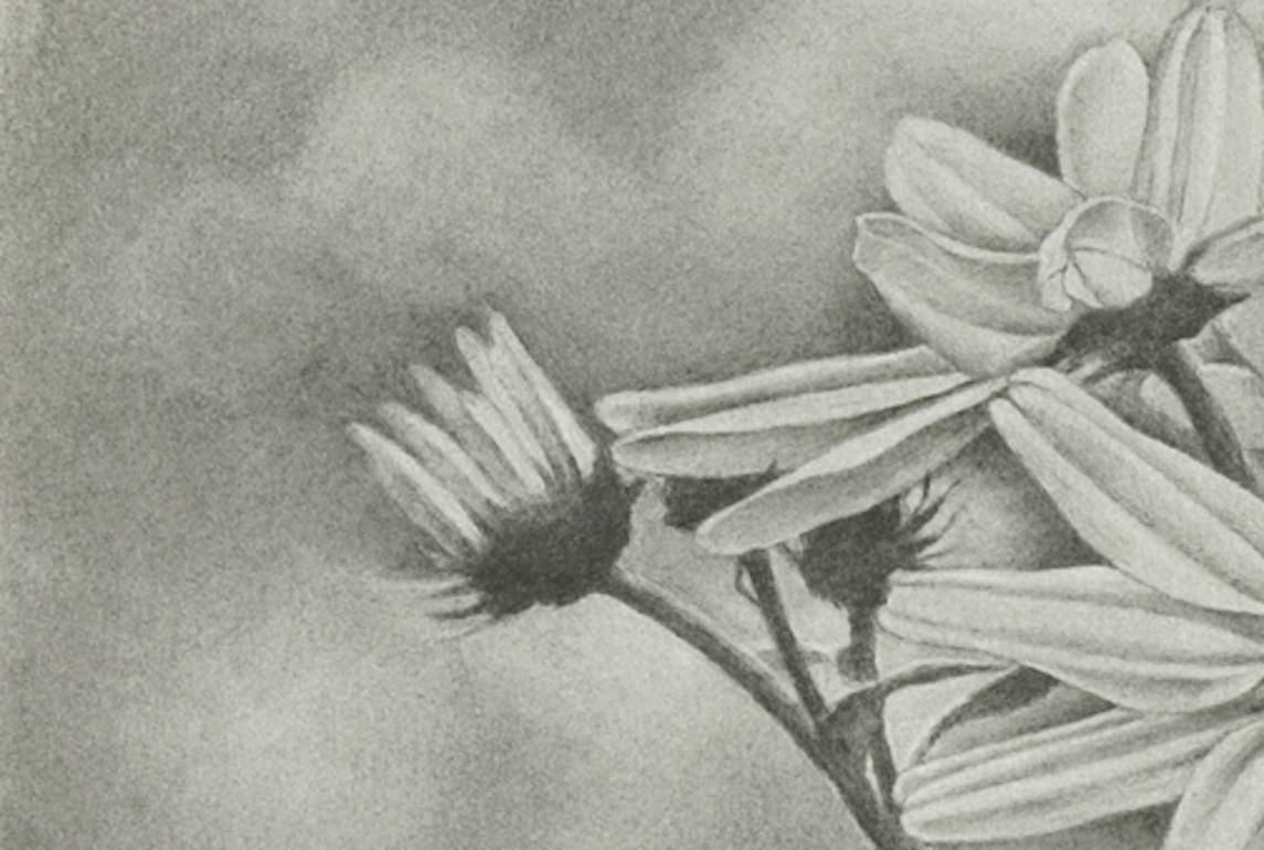 Wildflower, Central Park, dessin au graphite photoréaliste, 2011 - Gris Figurative Art par Mary Reilly