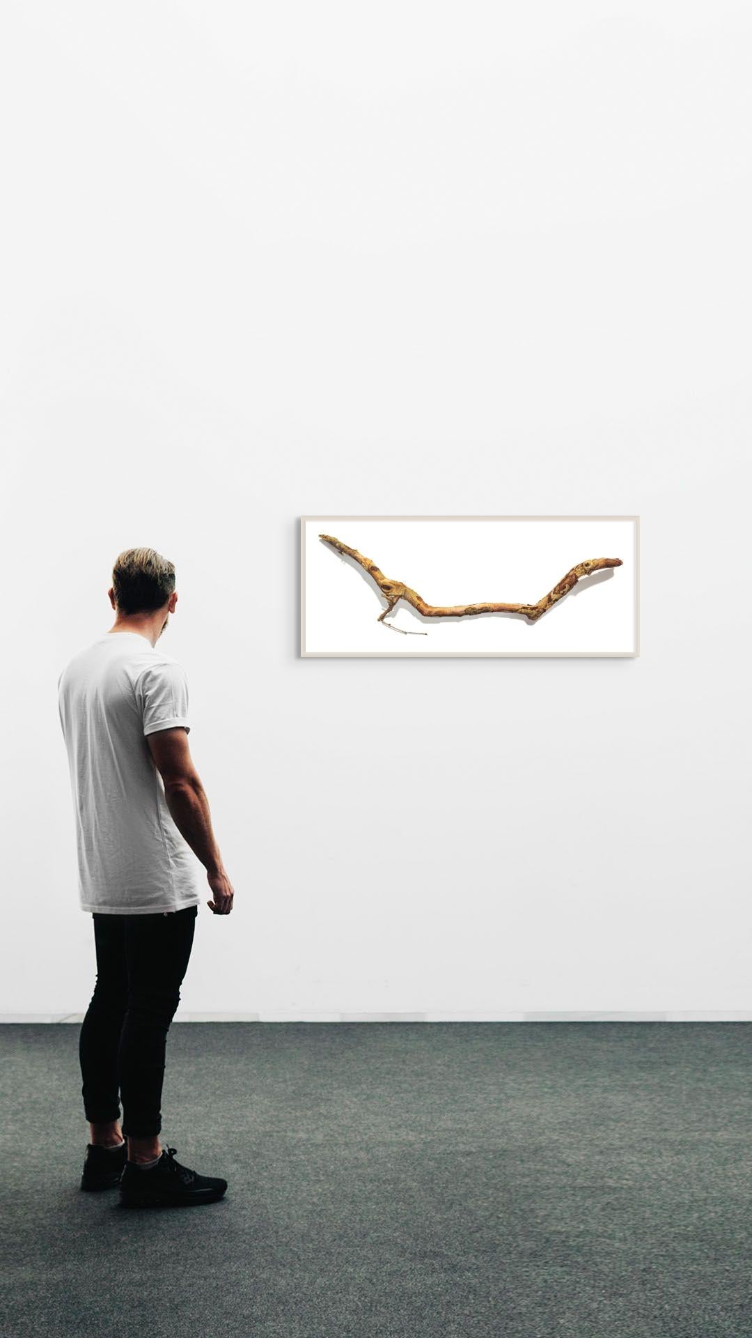 David Morrison, Stick Series No. 13, Fotorealistische farbige Bleistiftzeichnung, 2015 im Angebot 1