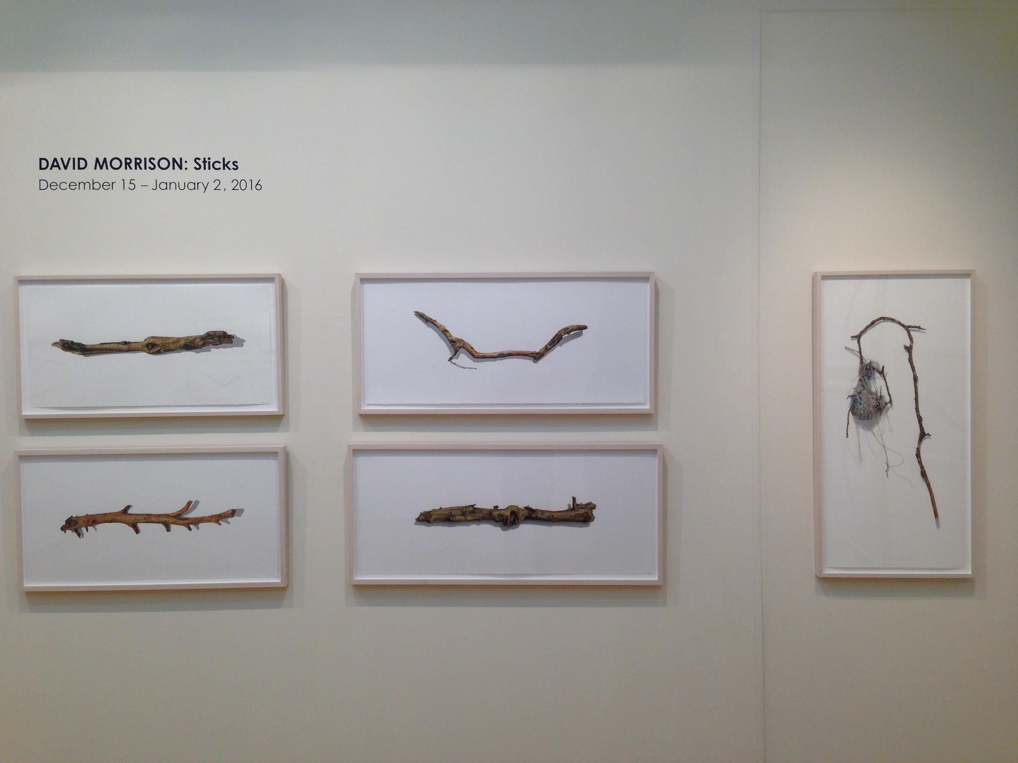 David Morrison, Stick Series Nr. 14, Fotorealistische farbige Bleistiftzeichnung, 2015 im Angebot 1