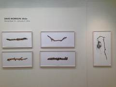 David Morrison, Stick Series No. 14, Photorealist colored pencil drawing, 2015