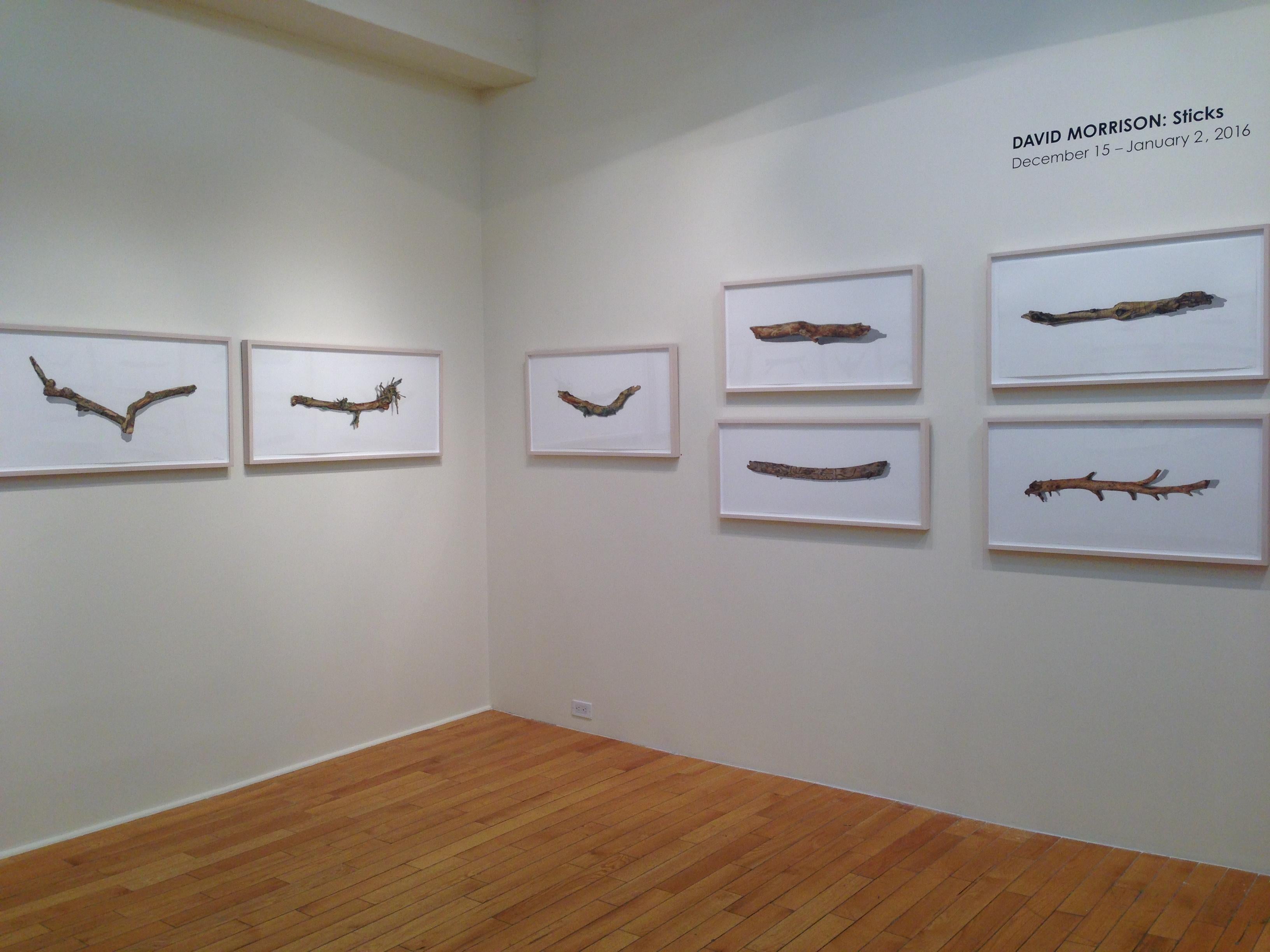 David Morrison, Stick Series Nr. 14, Fotorealistische farbige Bleistiftzeichnung, 2015 im Angebot 2