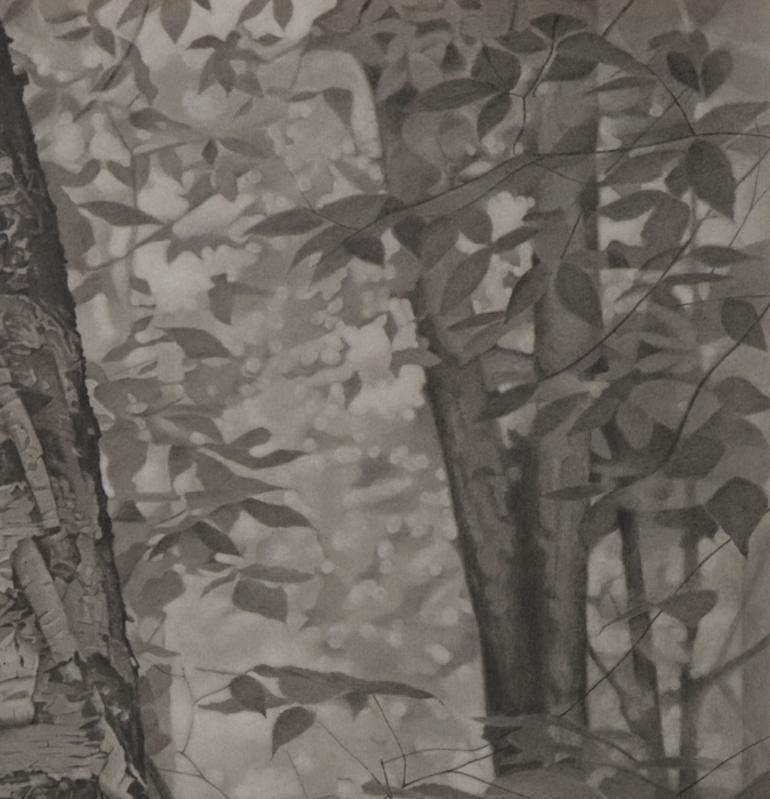„ Within the Forest“, graue fotorealistische Graphit-Landschaftszeichnung, 2018 (Fotorealismus), Art, von Mary Reilly