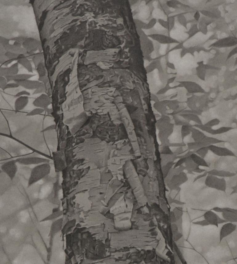 „ Within the Forest“, graue fotorealistische Graphit-Landschaftszeichnung, 2018 (Grau), Landscape Art, von Mary Reilly