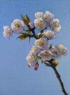 Frederick Brosen, Cherry Blossom, Realist watercolor and graphite on paper, 2018