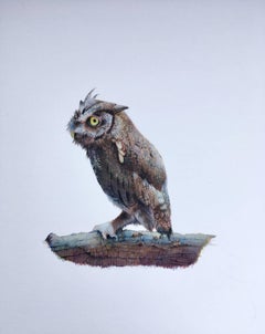 Dina Brodksy, Great Horned Owl, realist gouache on paper, 2018