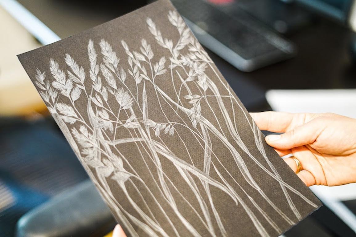 dandelion field drawing