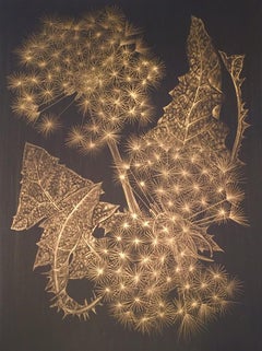 Margot Glass, Two Dandelions, goldpoint on paper realist still life drawing