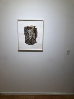 David Morrison, Firewood Series No. 2, disegno iperrealista a matita colorata, 2018