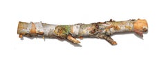 David Morrison, Firewood Series No. 4, hyperrealist colored pencil drawing, 2018