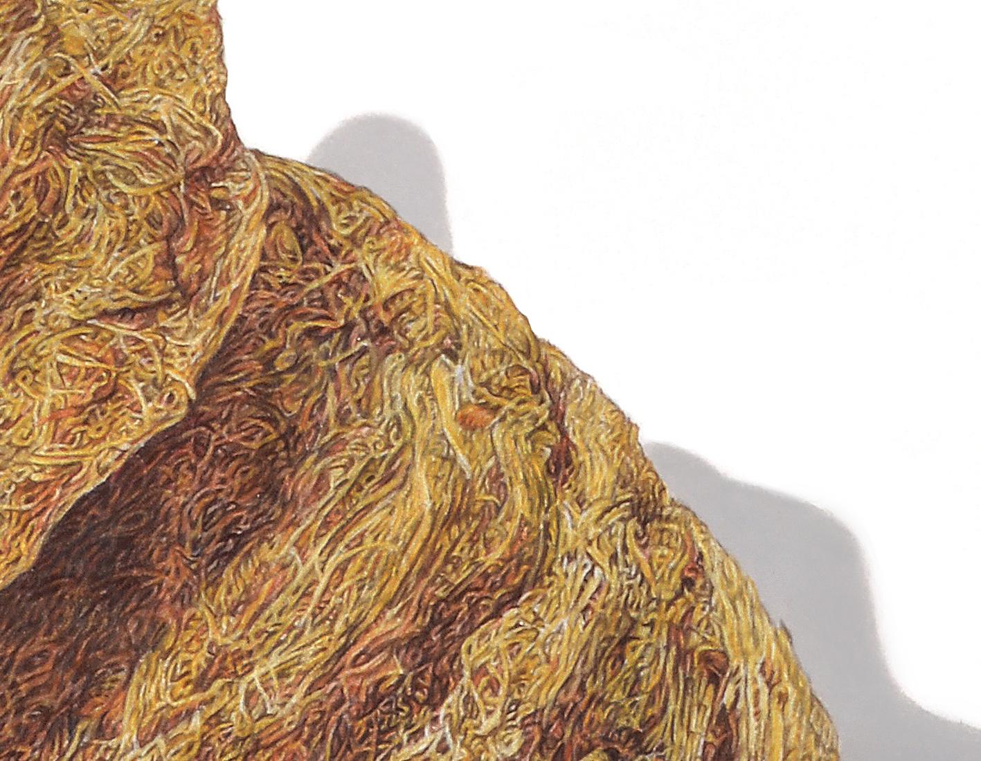 David Morrison, Paper Wasp Serie Nr. 2, hyperrealistische Bleistiftzeichnung im Angebot 1
