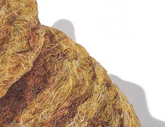 David Morrison, Paper Wasp Series No. 2, hyperrealist colored pencil drawing