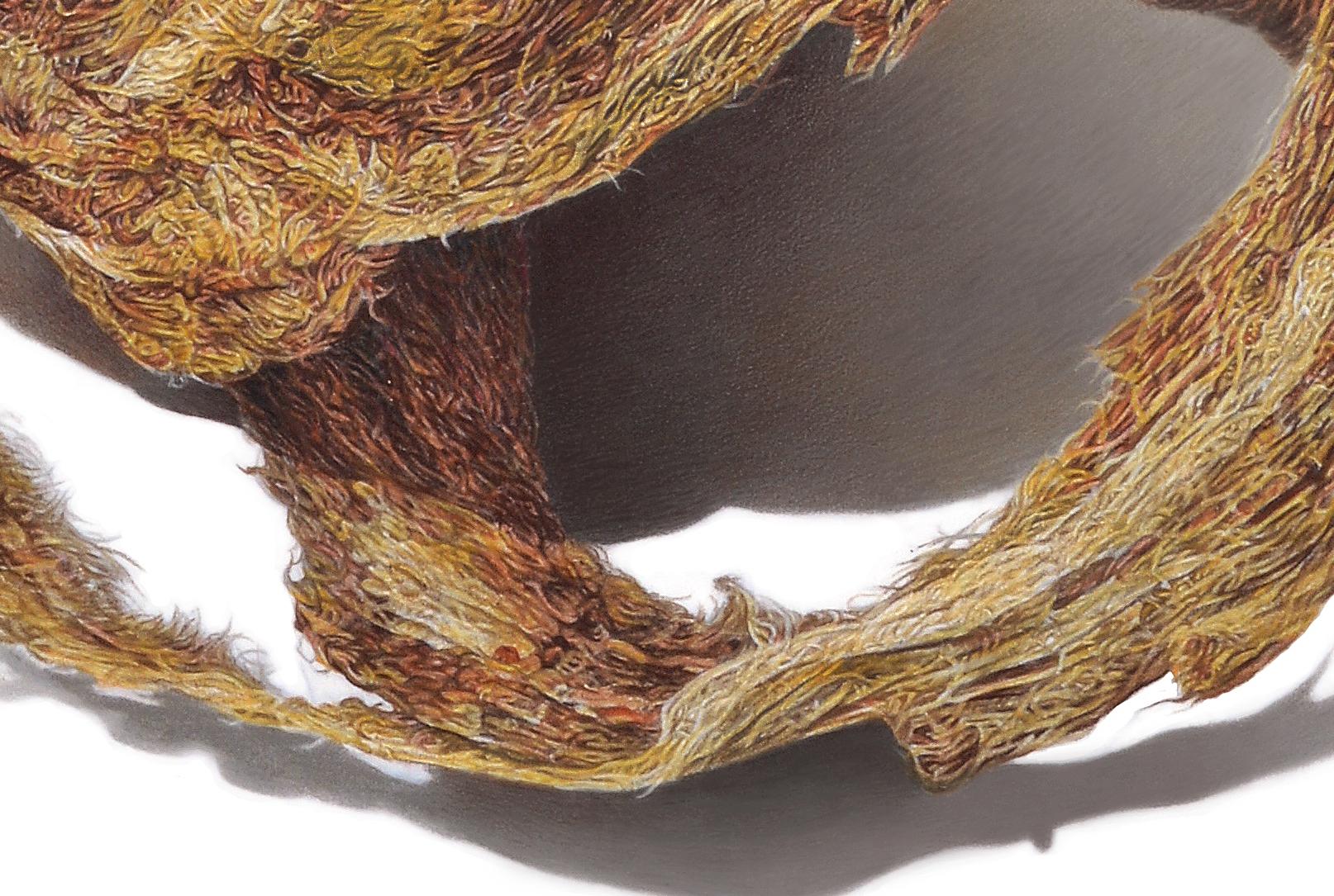 David Morrison, Paper Wasp Serie Nr. 2, hyperrealistische Bleistiftzeichnung im Angebot 2