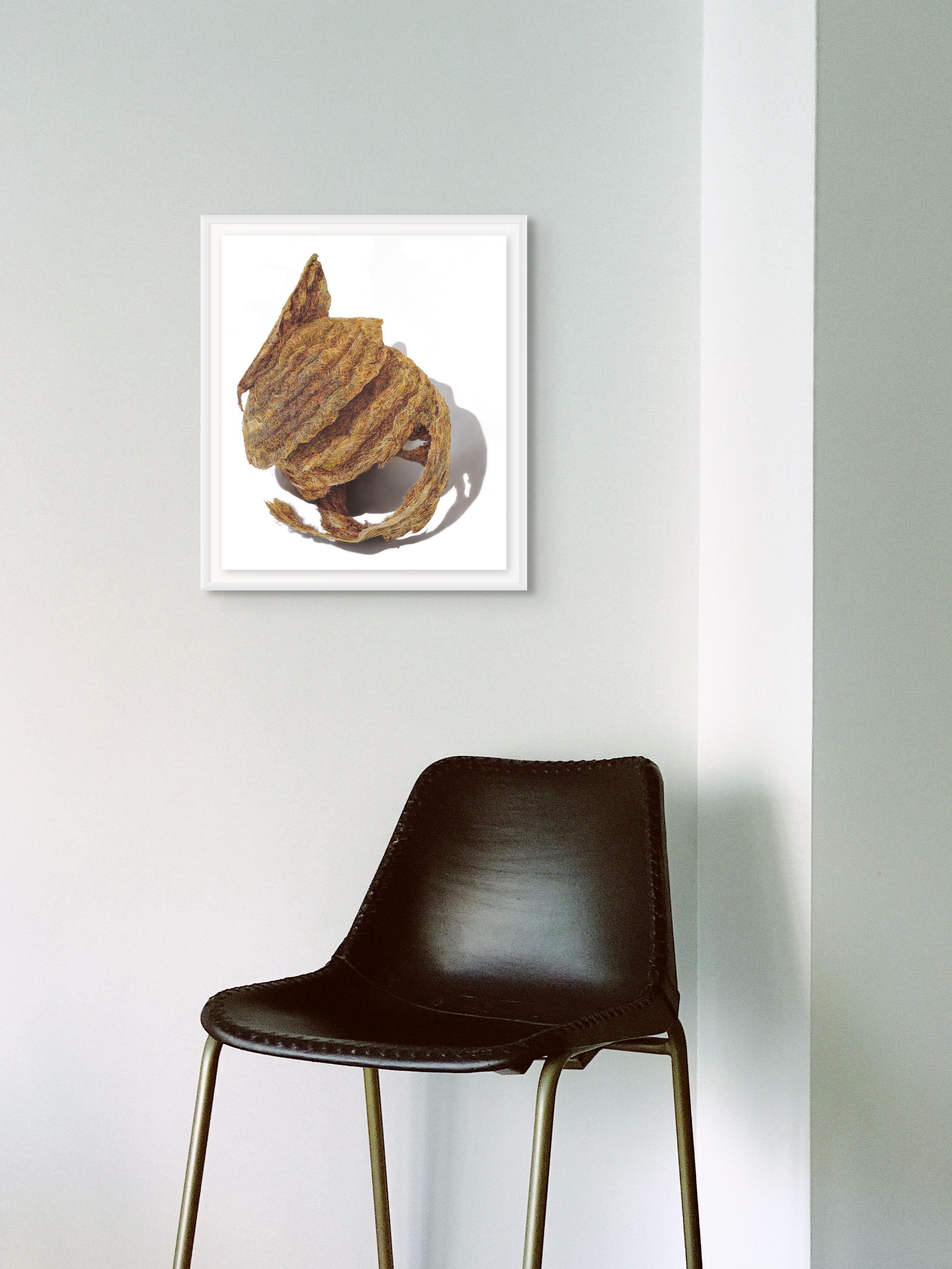 David Morrison, Paper Wasp Serie Nr. 2, hyperrealistische Bleistiftzeichnung im Angebot 10
