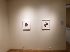 Birkenholz Fragment Nr. 1, fotorealistische farbige Naturzeichnung mit Bleistift