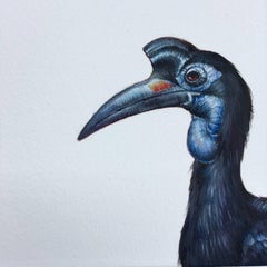 Dina Brodksy, Abysinnian Ground Hornbill, realist gouache miniature, 2018