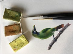 Dina Brodsky, Green Bird, realist gouache on paper animal miniature, 2018